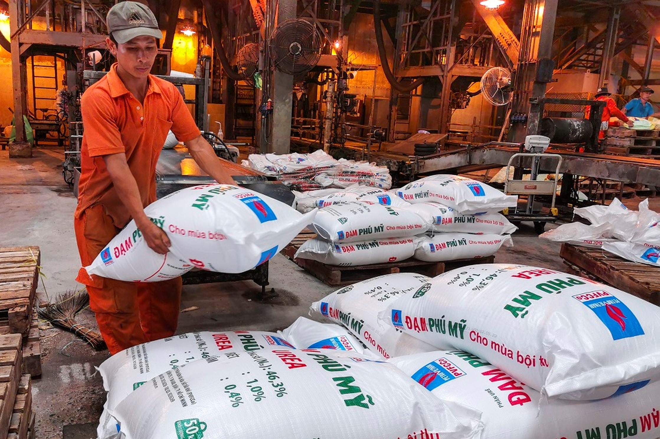 Dai gia phan bon lai ky luc hon 5.600 ty dong hinh anh