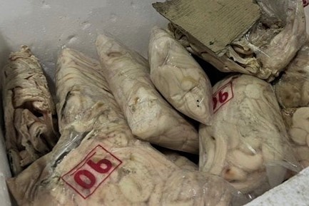 Gom gan 24 tan thit ban ban lai cho quan an o TP.HCM, Binh Duong hinh anh