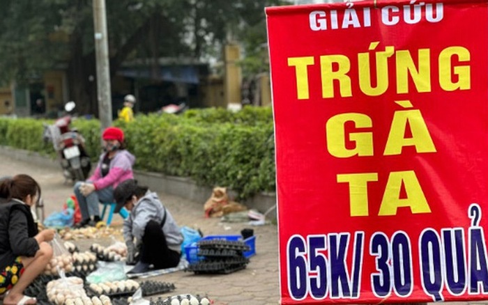 De nghi khong mua trung gia cam ban 'giai cuu' hinh anh