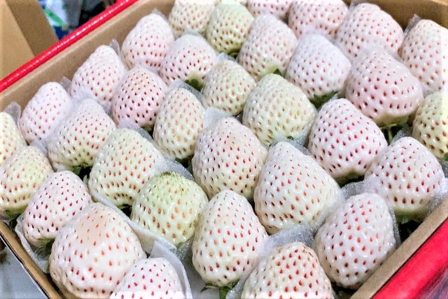 Dau tay 'dat nhat the gioi' trong o Da Lat gia chi vai tram nghin/kg hinh anh