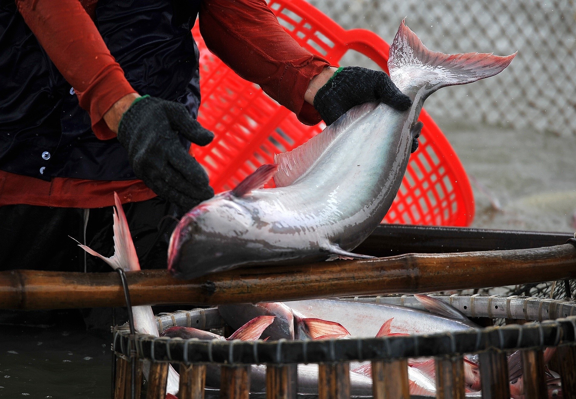 Thu tuong yeu cau giam lai, gian no cho doanh nghiep do go, thuy san hinh anh