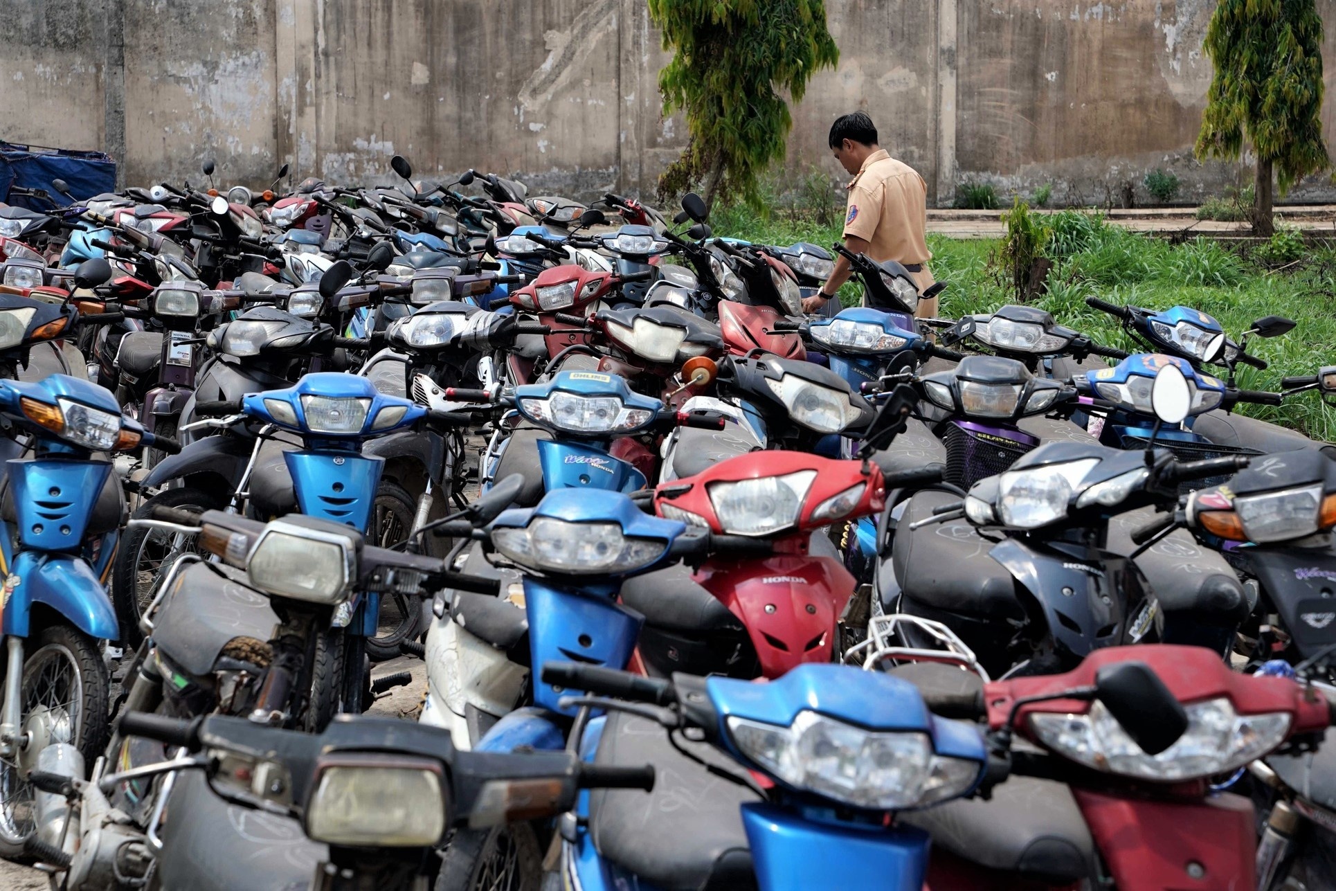 Dau gia gan 230 xe may vi pham o TP.HCM, trung binh 650.000 dong/xe hinh anh