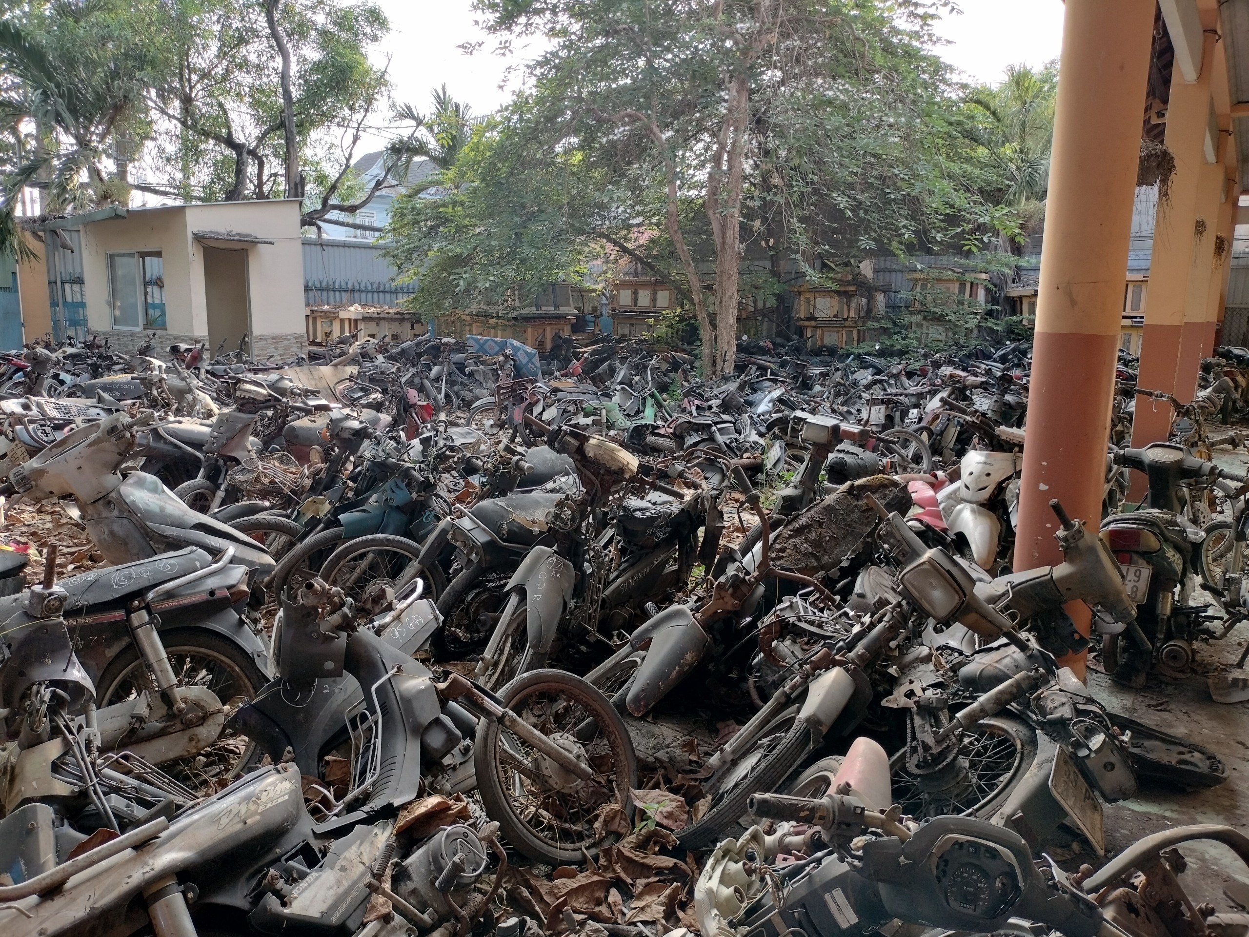 đấu giá xe máy ảnh 2 dau gia xe may anh 2