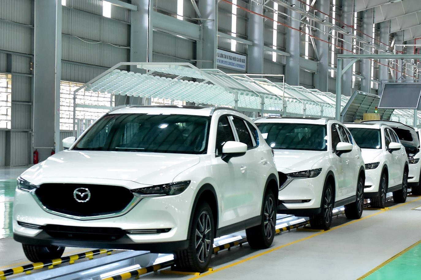 Chinh phu yeu cau giam 50% le phi truoc ba oto trong nuoc tu 1/7 hinh anh