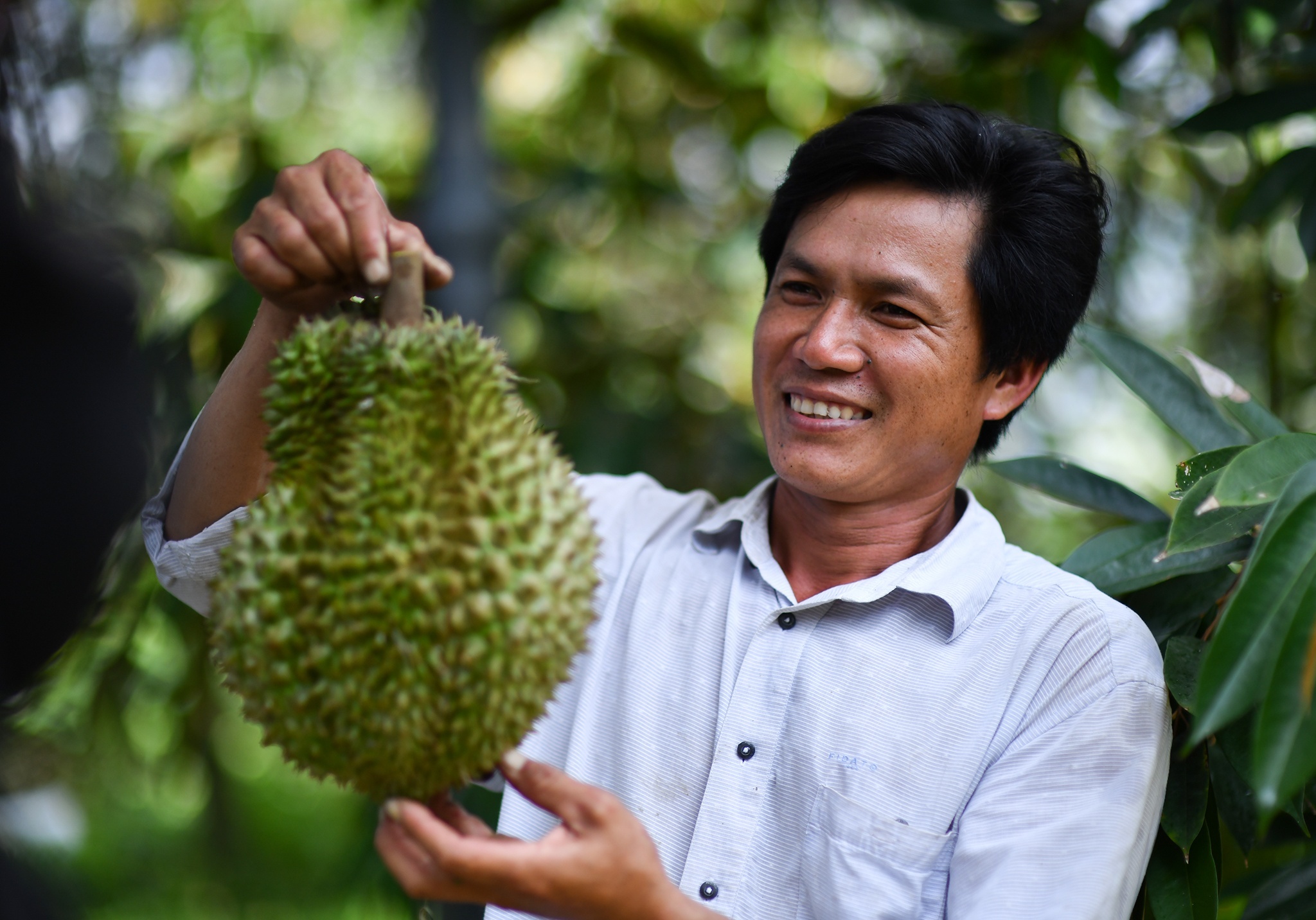Gia tri xuat khau rau qua 6 thang gan bang ca nam ngoai hinh anh