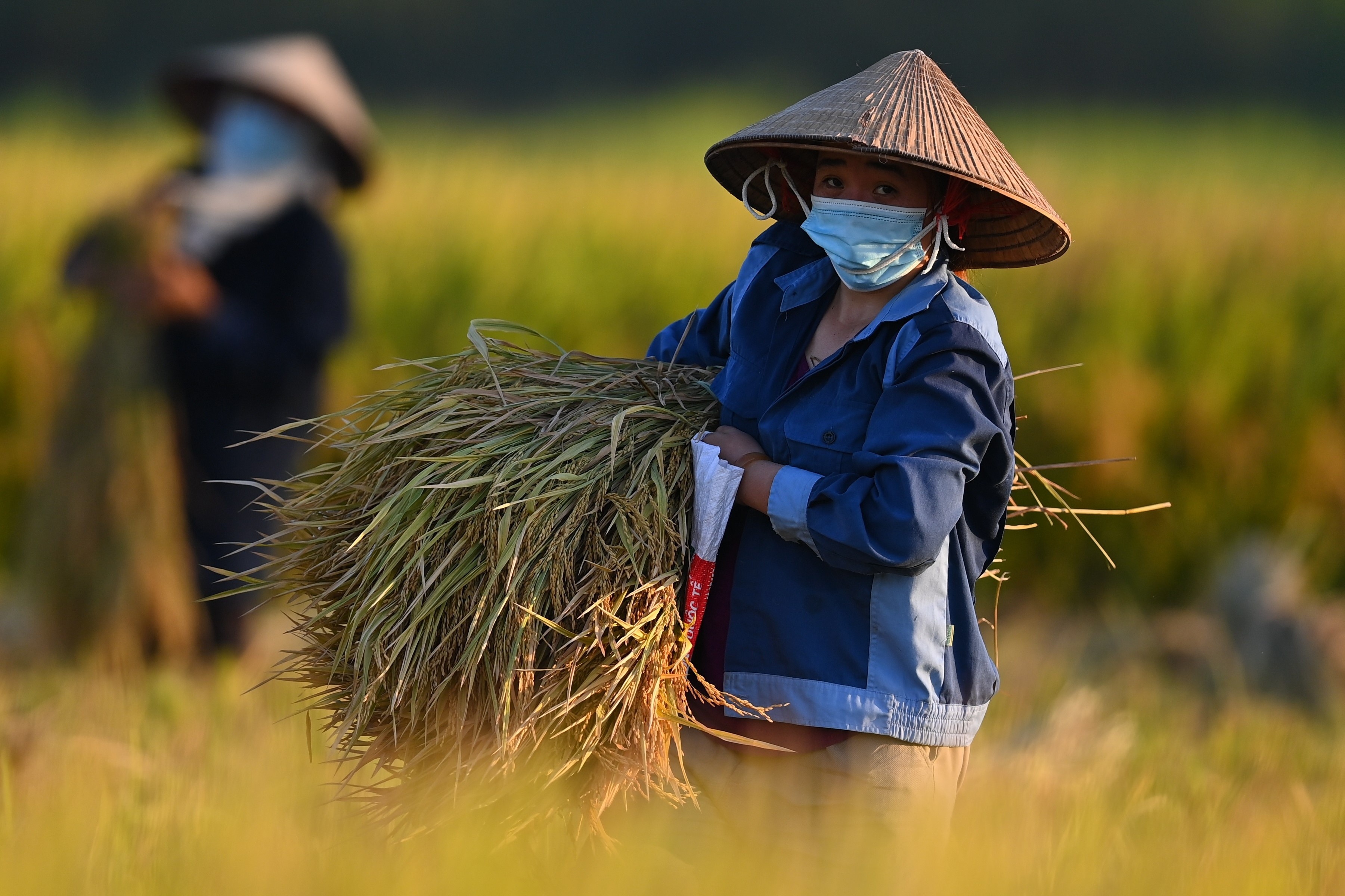 Xuat khau hang nong nghiep du bao dat gan 60 ty USD ca nam hinh anh