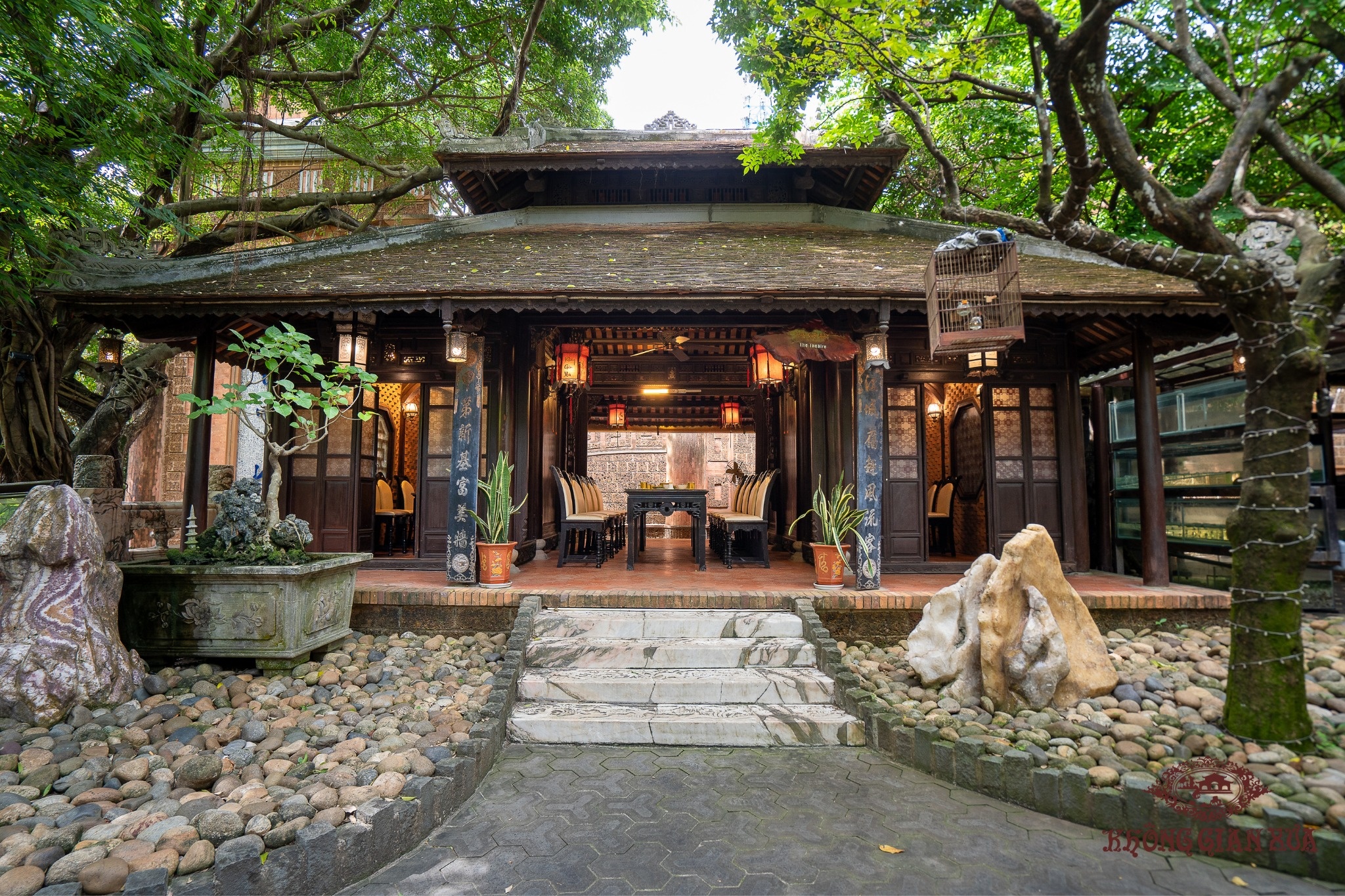 dau gia nha co anh 1