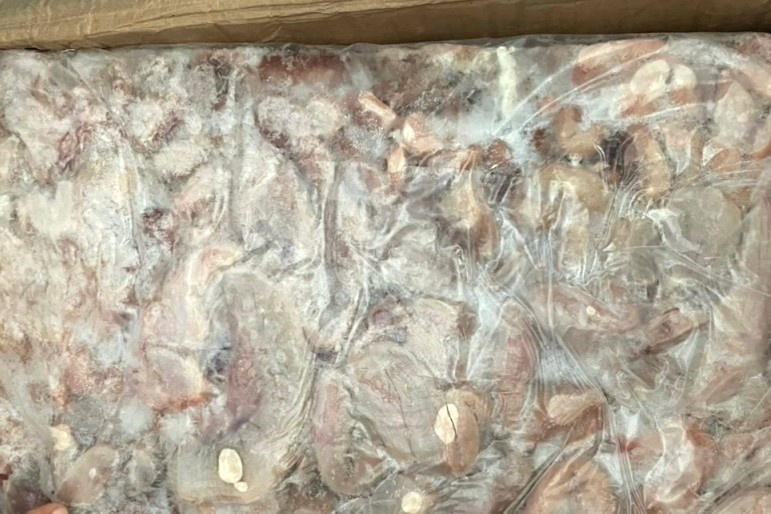 TP.HCM phat hien gan 25 tan bao tu, nam heo khong nguon goc hinh anh