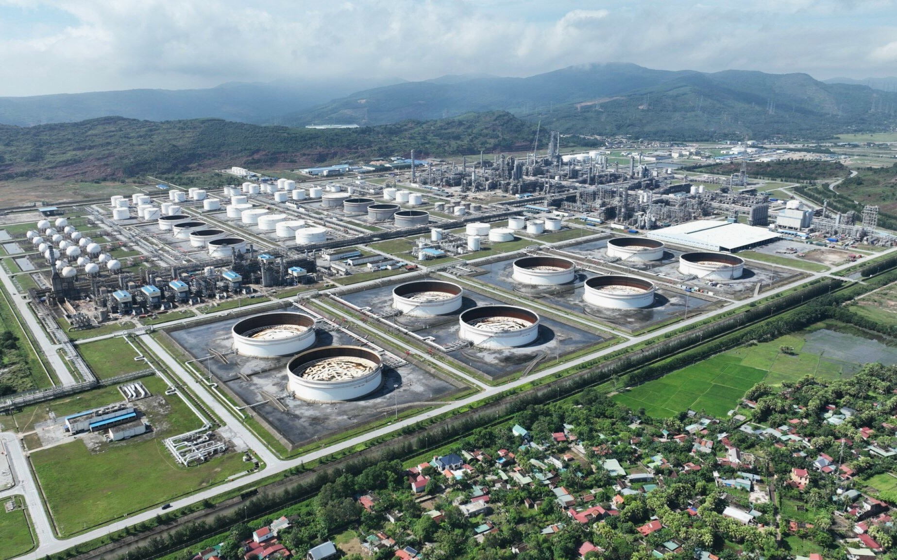 loc hoa dau nghi son anh 1