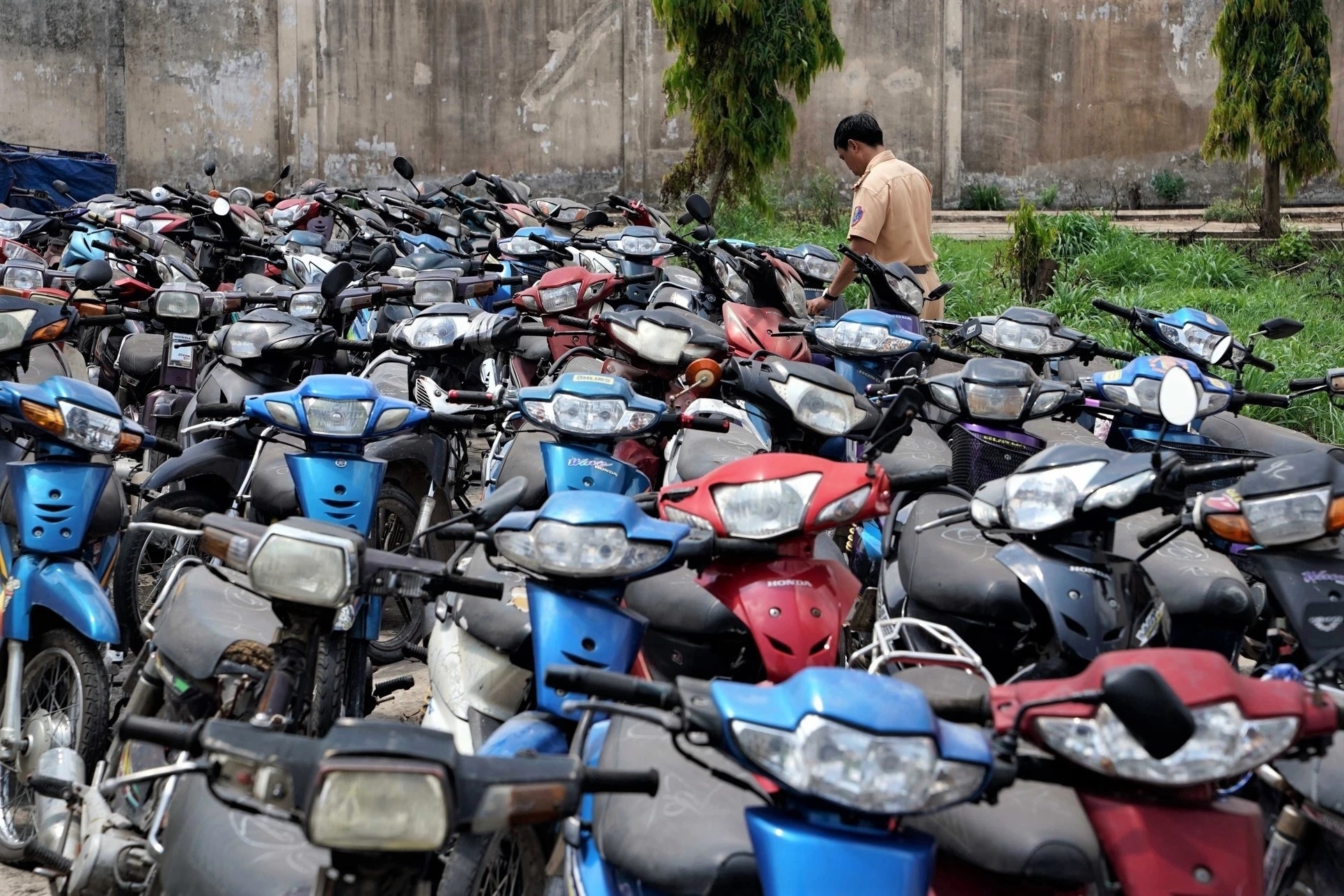 TP.HCM da dau gia hon 27.500 xe may vi pham trong nam 2023 hinh anh