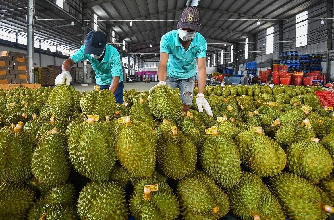 EU kiem soat sau rieng anh 1