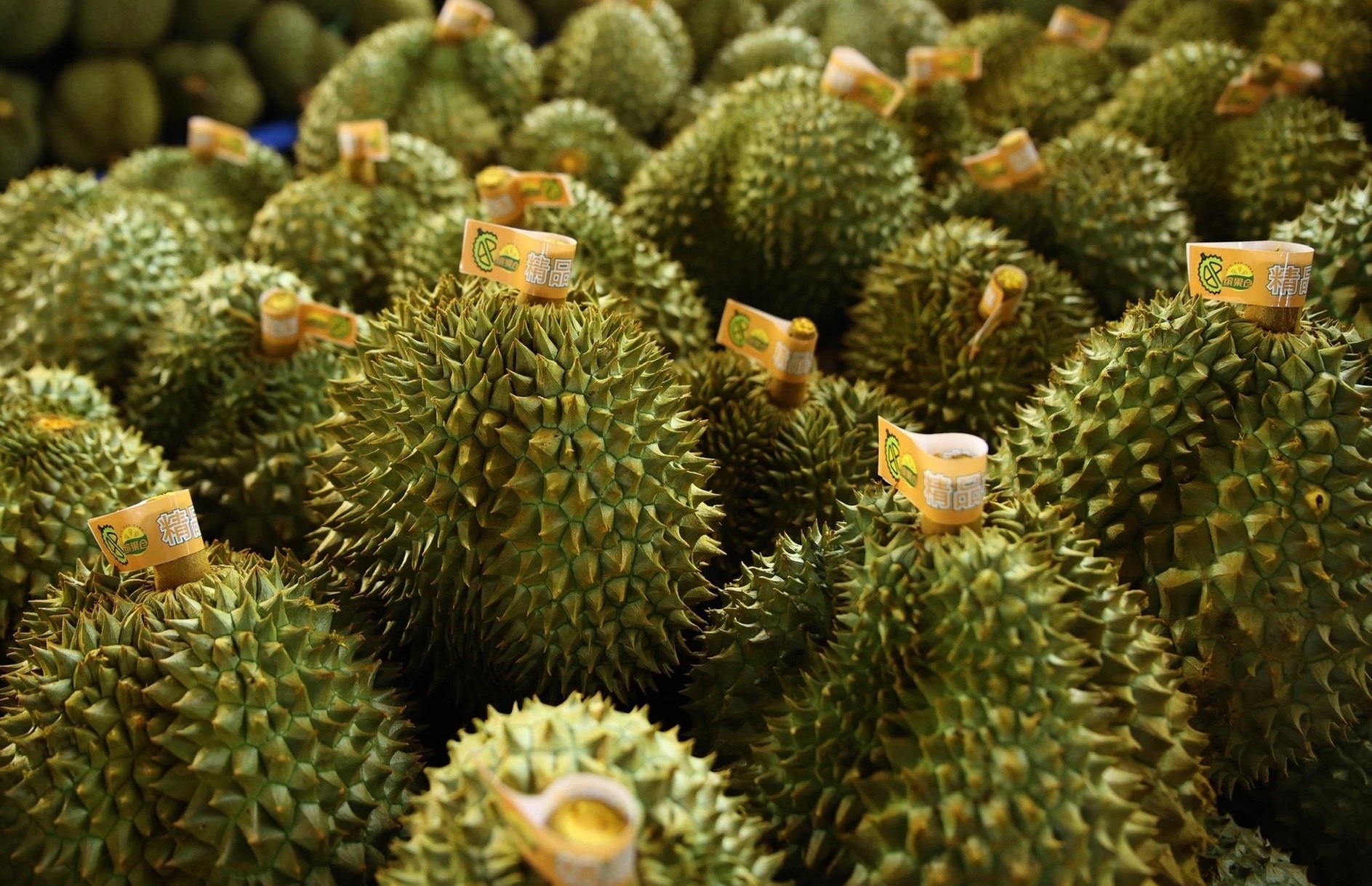 Xuat khau sau rieng Viet Nam dat hon 2,1 ty USD hinh anh