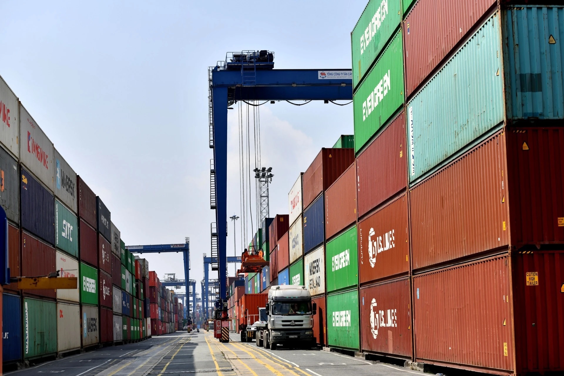 Gia cuoc container tang manh, Bo GTVT yeu cau ho tro doanh nghiep hinh anh