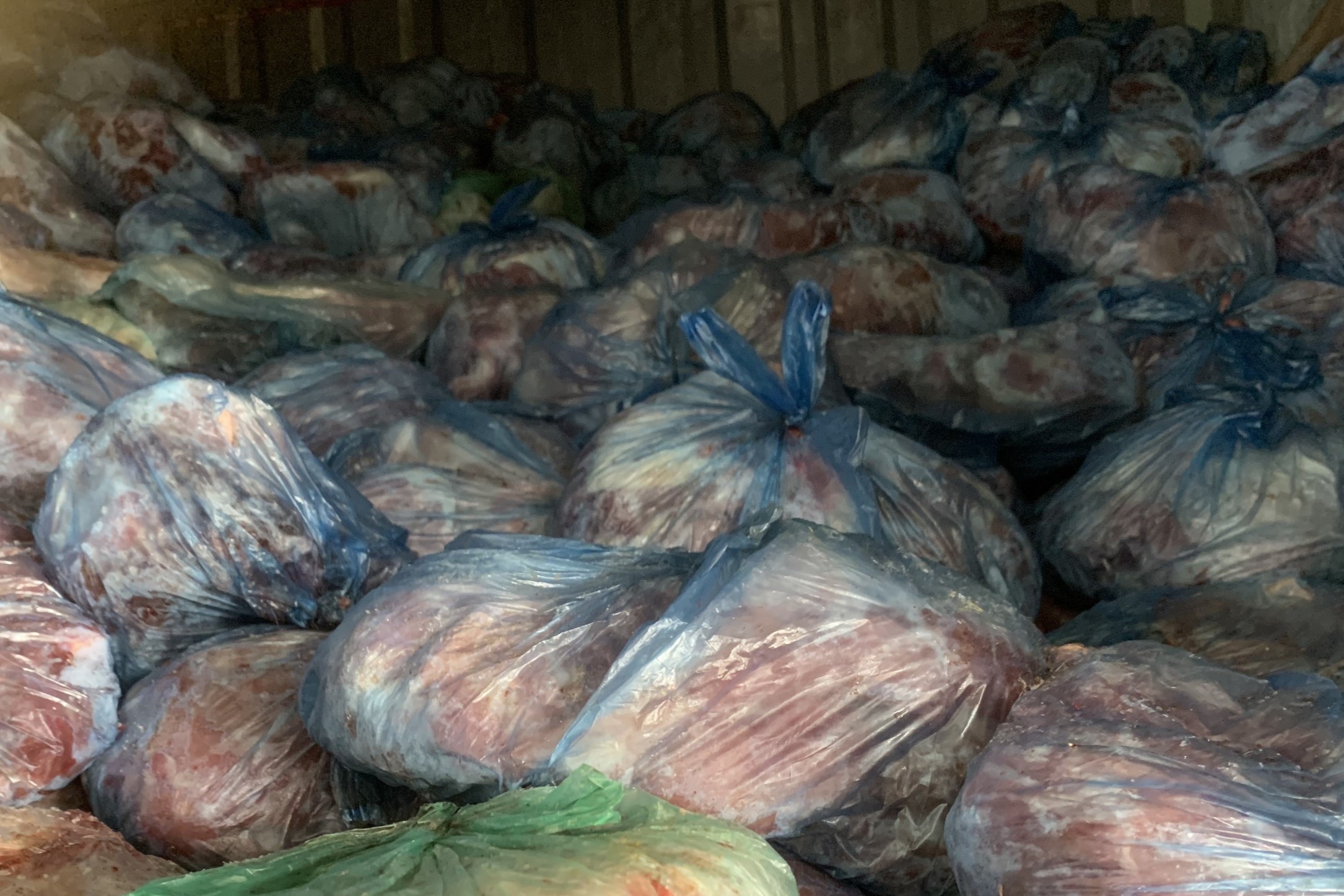 Gom 40 tan thit heo nhiem benh gia vai nghin dong/kg de ban kiem loi hinh anh