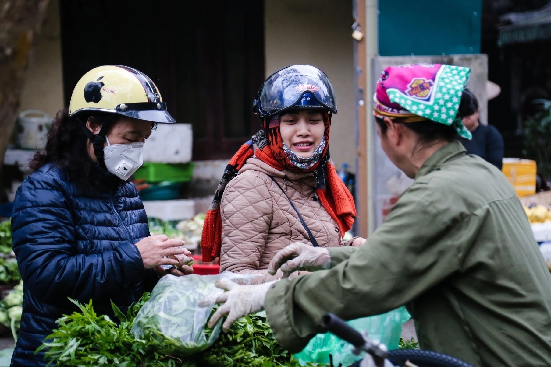 Gia rau cu tang nhe hinh anh