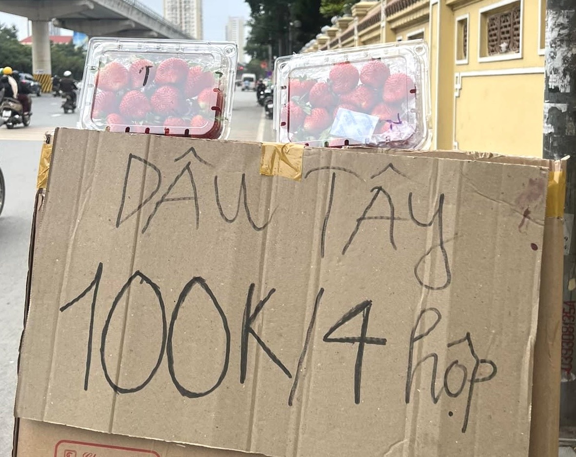 dau tay son la anh 1