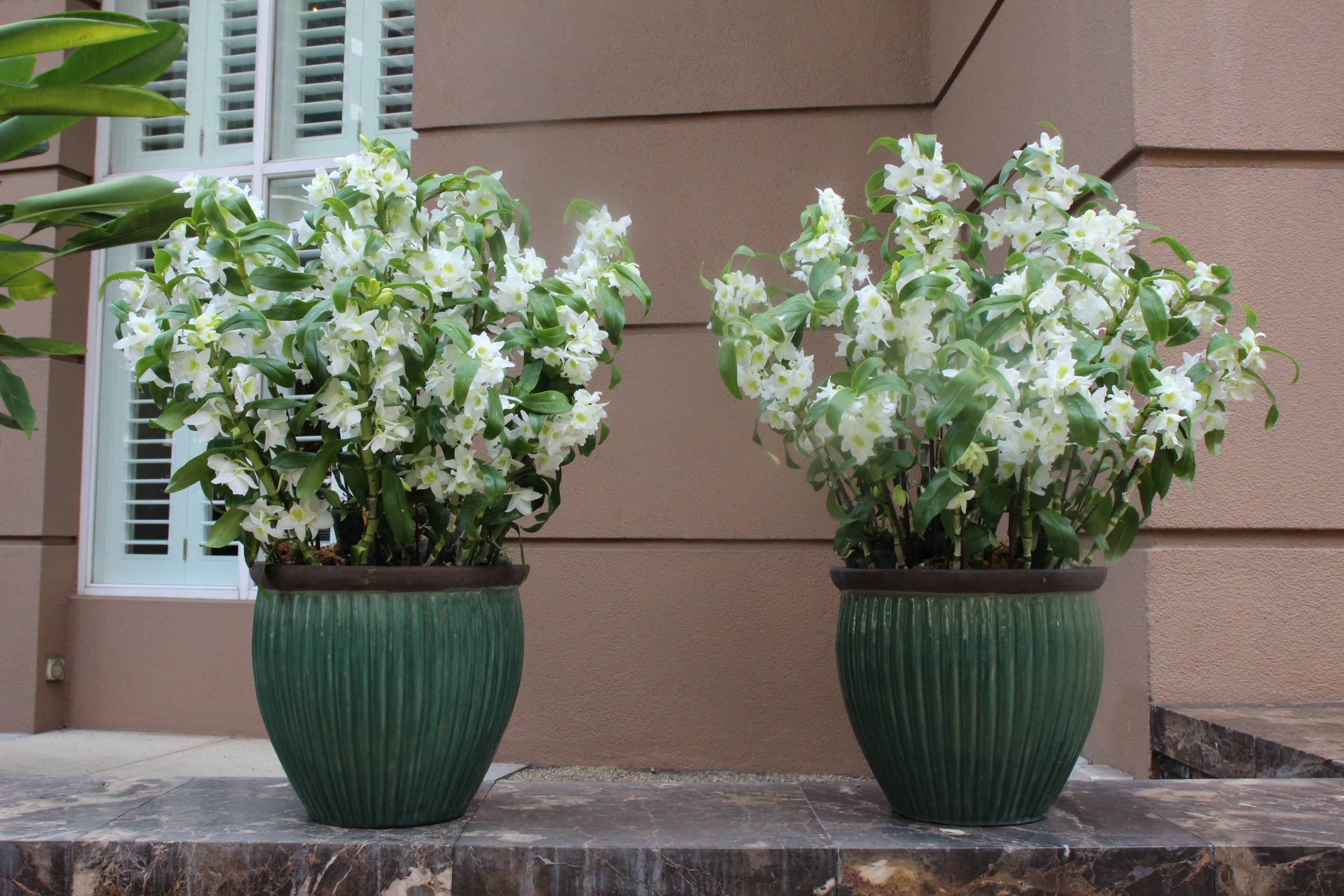 bo hoa 222 bong hong anh 1