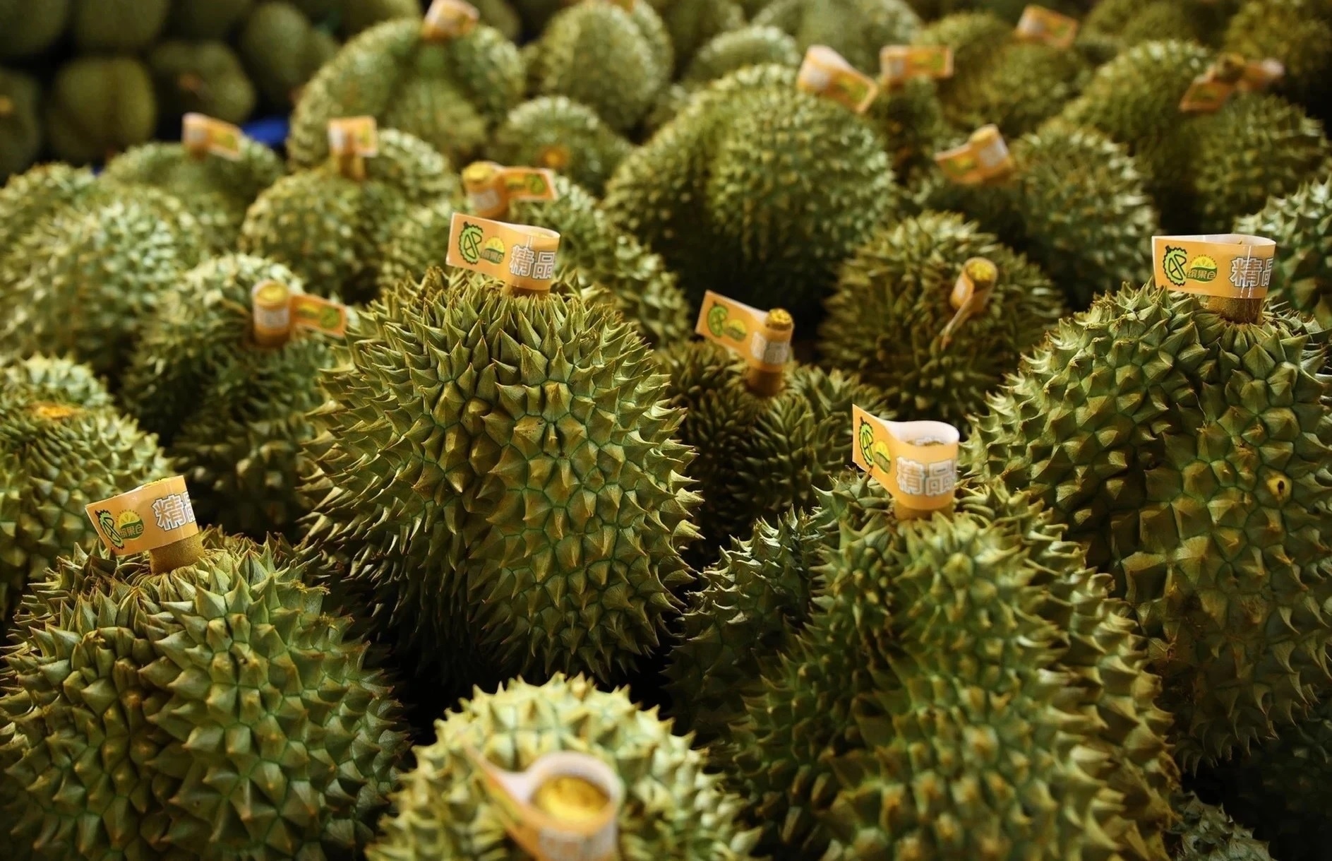 Sau rieng Viet Nam soan ngoi Thai Lan tai Trung Quoc hinh anh