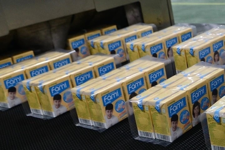 Chu hang sua Fami nam hon 7.000 ty dong tien mat, co ca vang, USD hinh anh