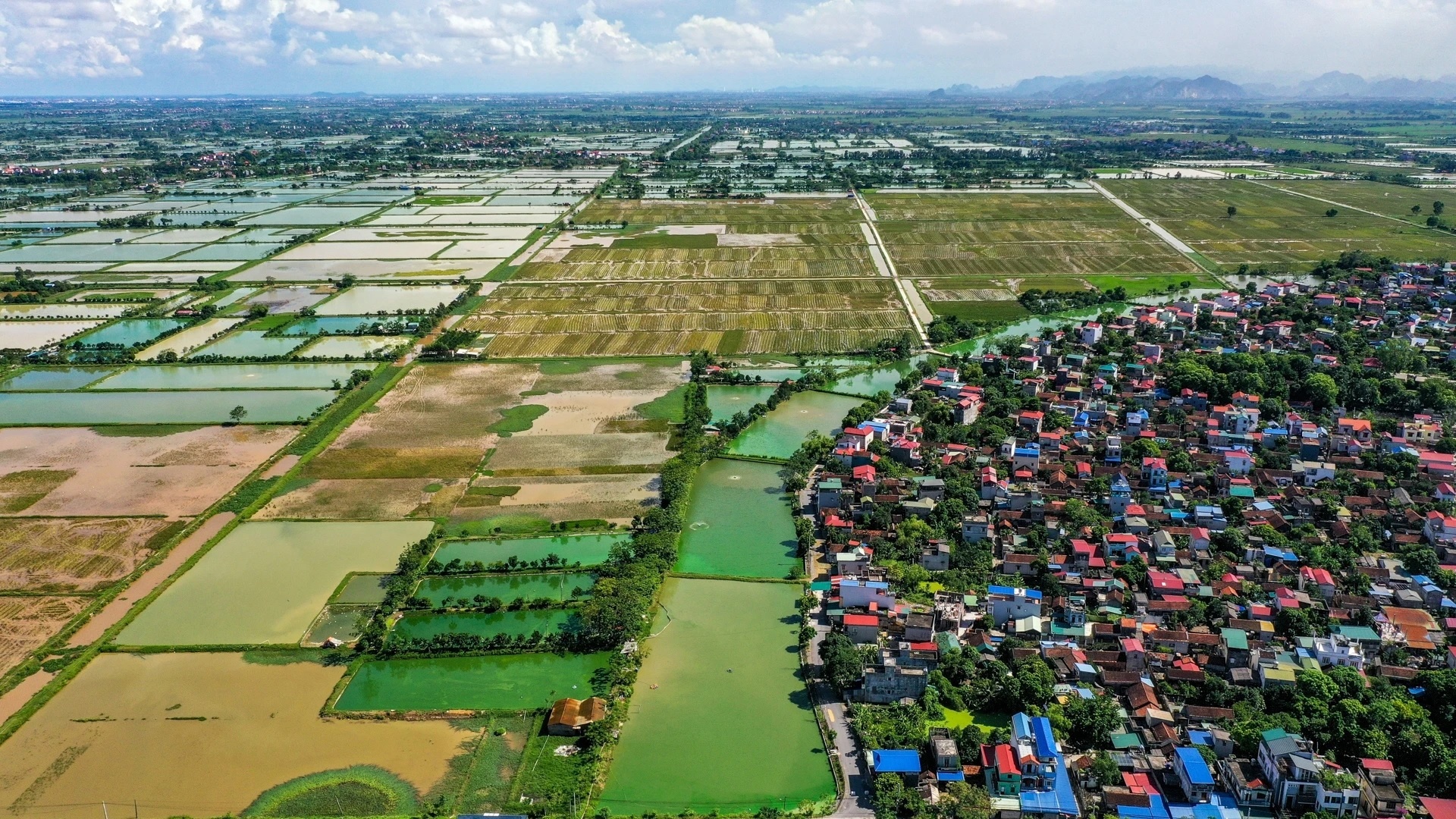 BDS Dong Anh,  Dong Anh Ha Noi anh 1