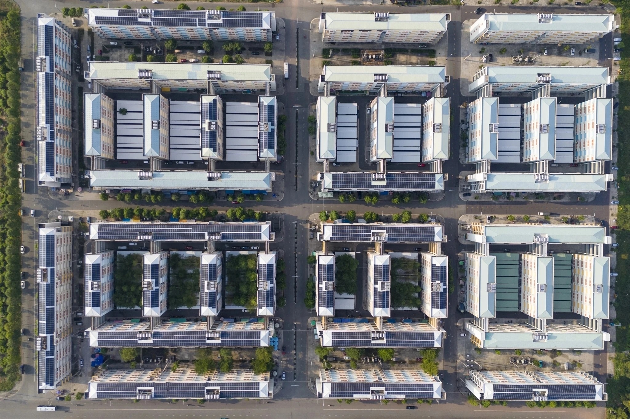 Nhieu 'ong lon' vao cuoc xay nha o xa hoi hinh anh