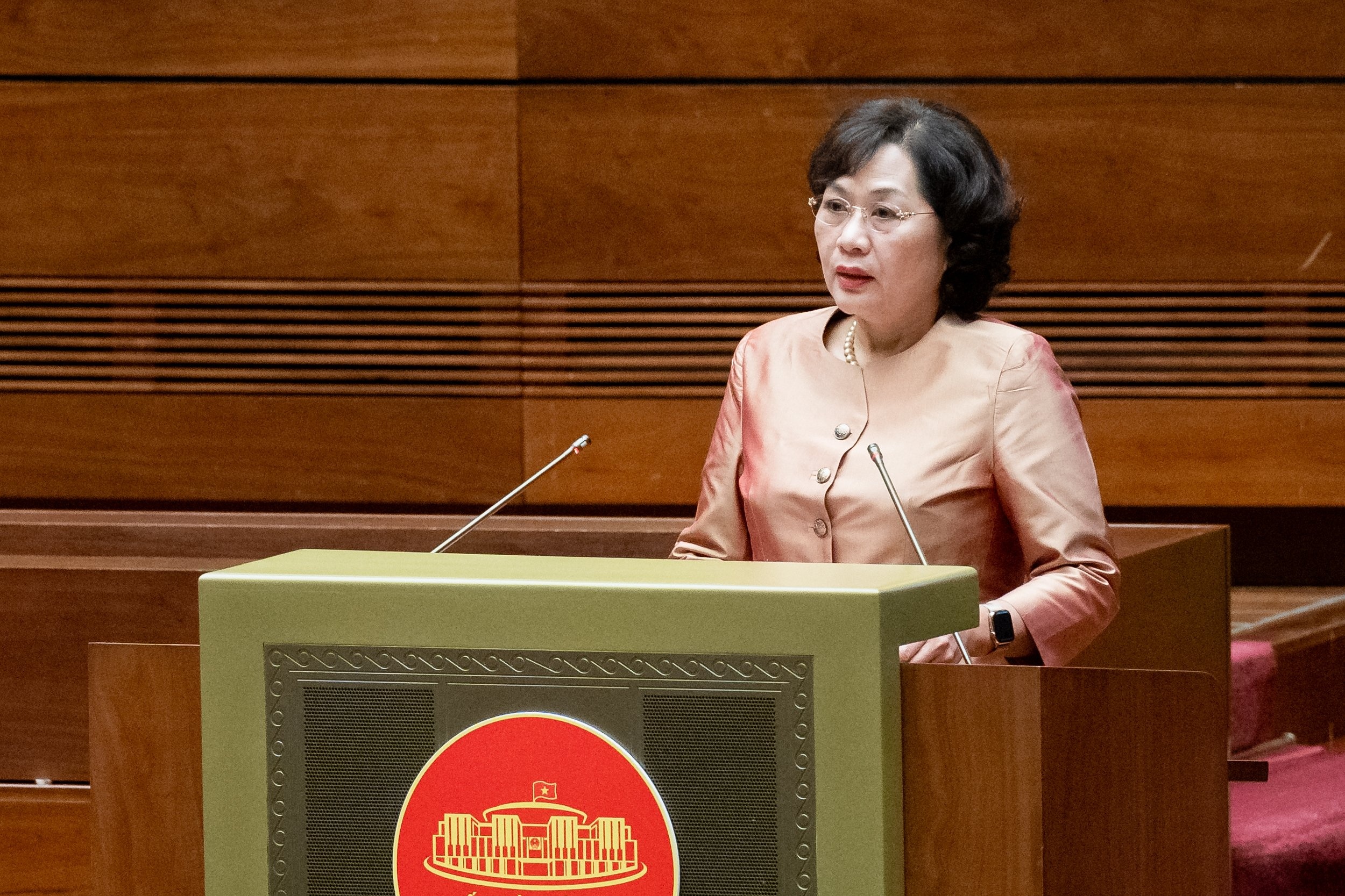 Thong doc NHNN: 'Dung dau thau vang vi gia khong giam nhu ky vong' hinh anh