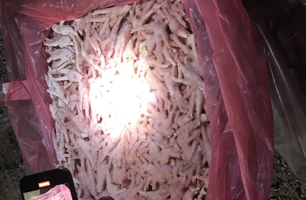 Phat hien gan 25 tan chan ga khong nguon goc sap tuon ra thi truong hinh anh