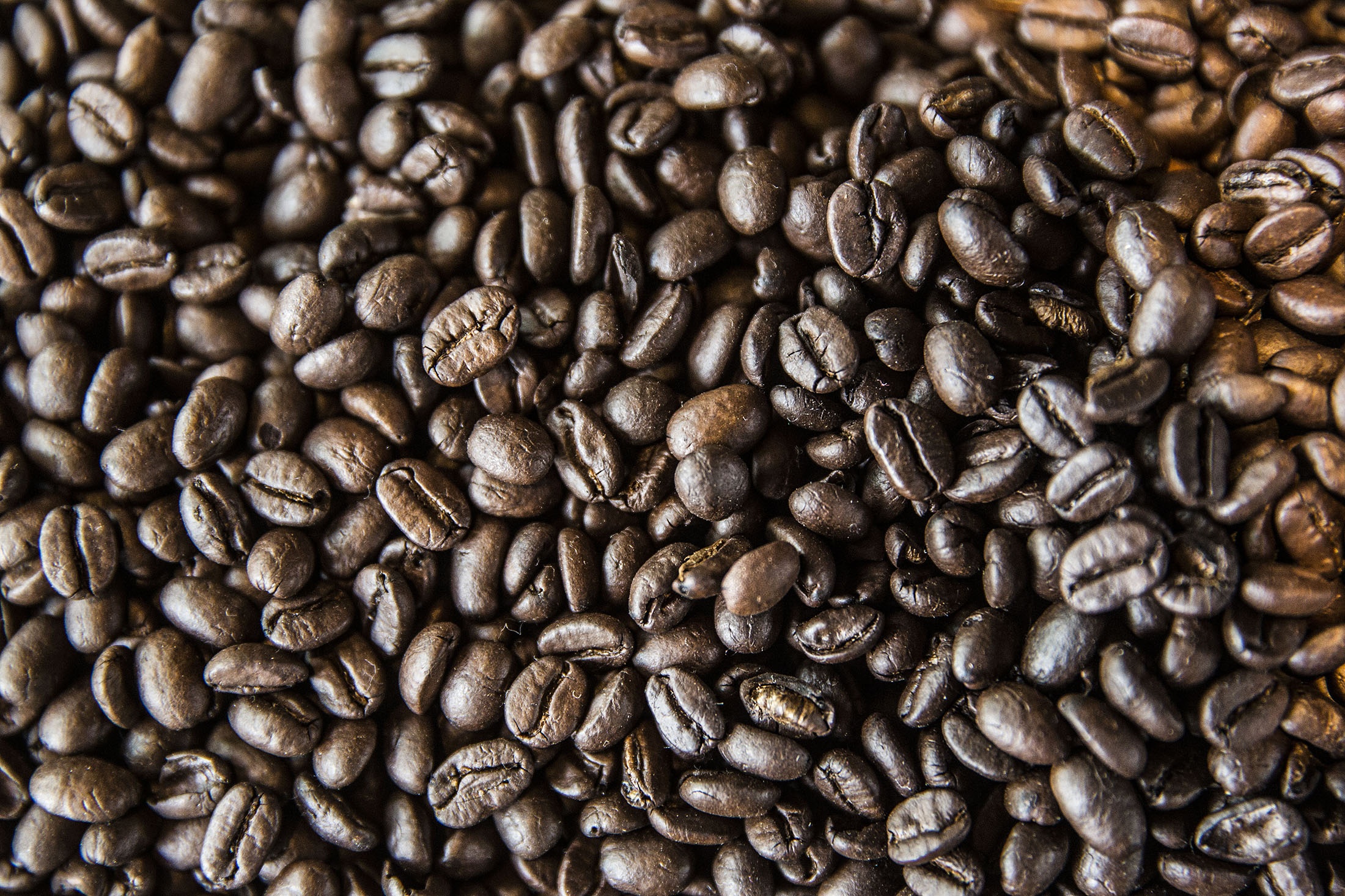 Xuat khau ca phe lan dau vuot 3 ty USD chi sau nua nam hinh anh