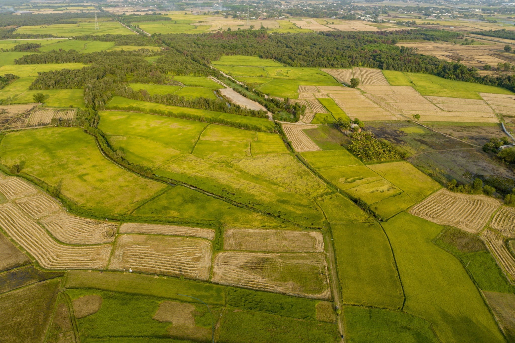 Cong ty con cua Coteccons muon lam du an gan 11.000 ty dong o Long An hinh anh