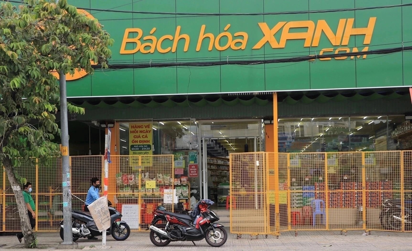 Bach Hoa Xanh dat moc doanh thu 2 ty dong/cua hang/thang hinh anh