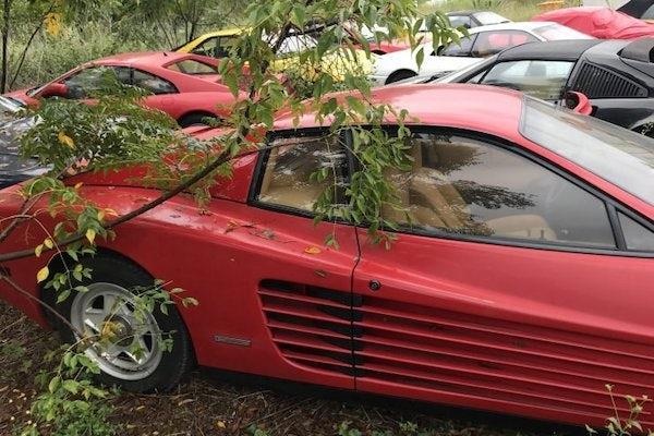 bo hoang bo suu tap sieu xe trong vuon anh 1