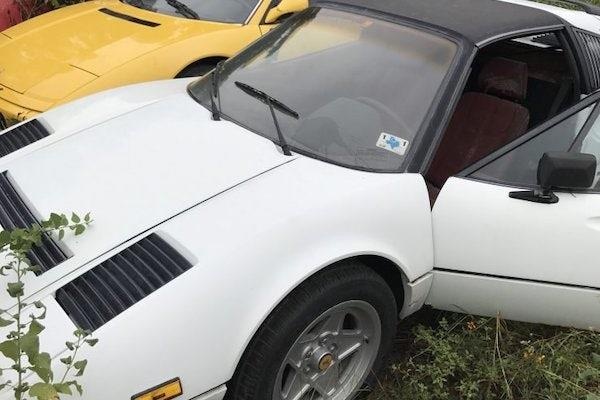 bo hoang bo suu tap sieu xe trong vuon anh 2