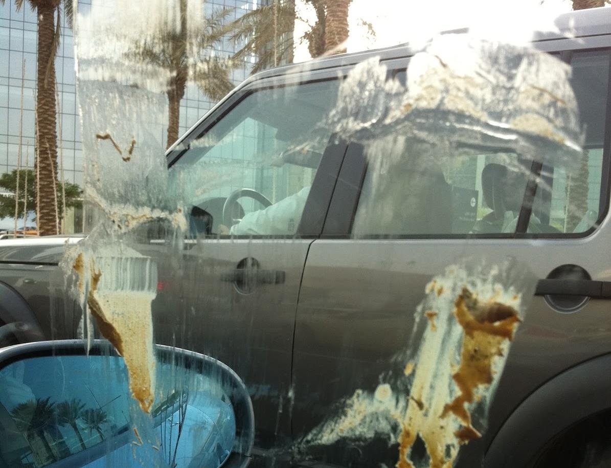 oto tan chay duoi troi nang anh 7