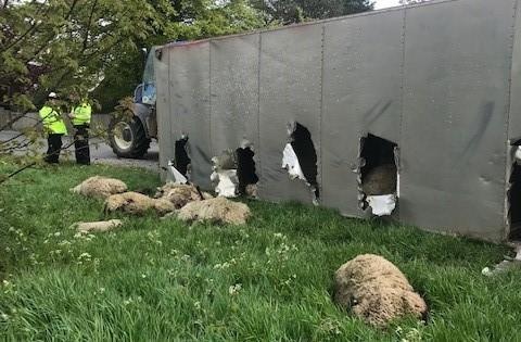 tai nan xe hy huu anh 7