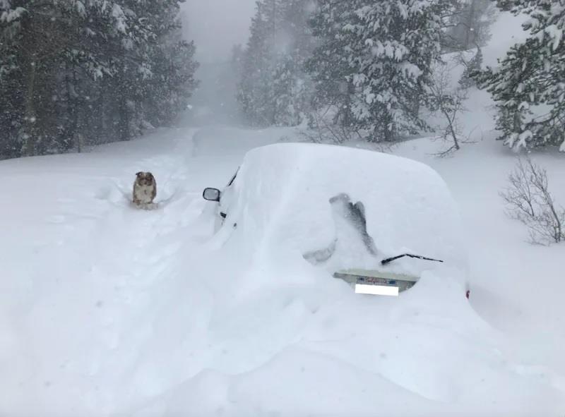 Oto bi vui sau 3 met duoi tuyet trong 4 thang anh 2