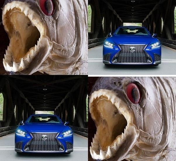 Lexus bi vi nhu mieng ca piranha anh 8