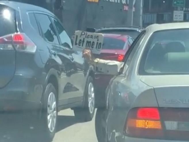 Xin nhap lan kieu 'co mot khong hai' hinh anh