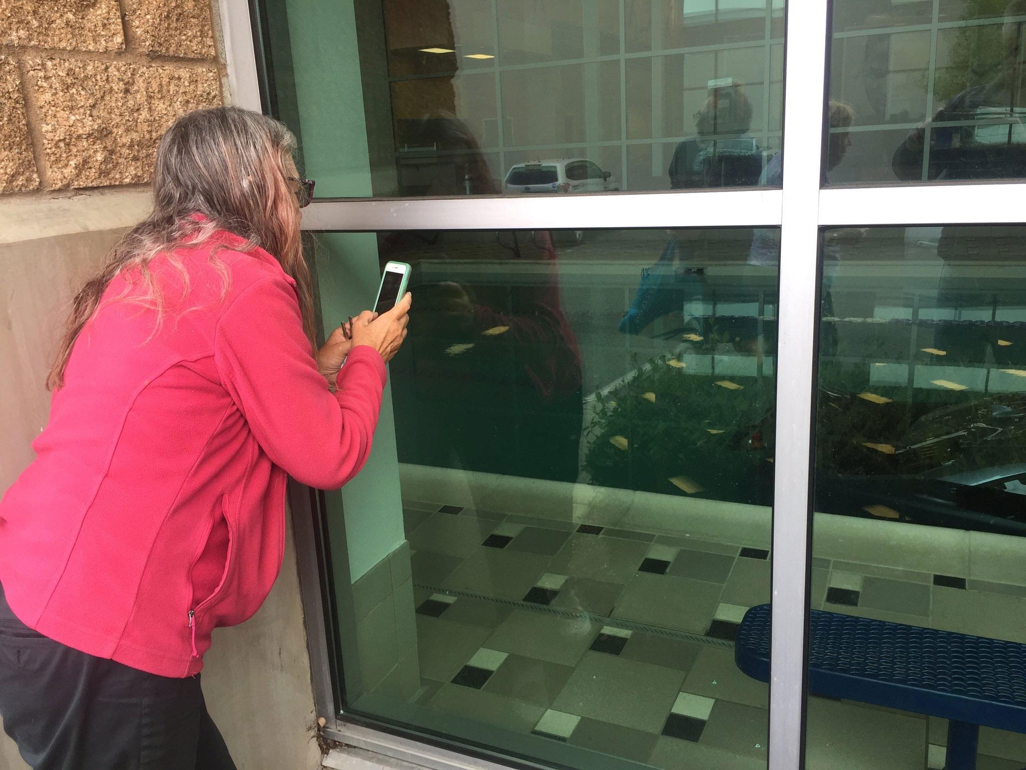 lao xe qua cua so xuong be boi anh 3