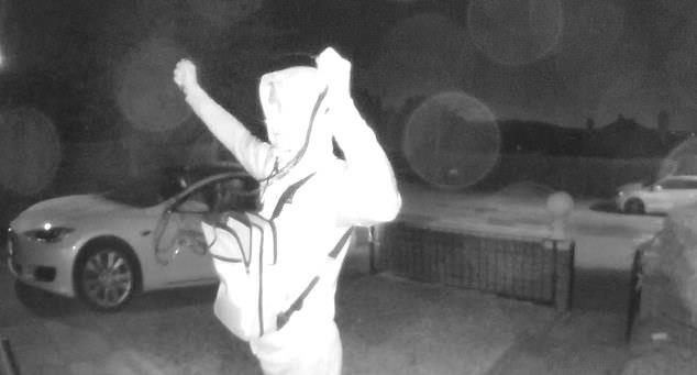 Trom xe dien Tesla Model S trong 30 giay hinh anh