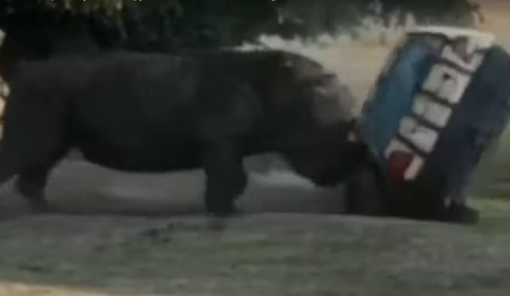 Te giac huc oto de dang hinh anh