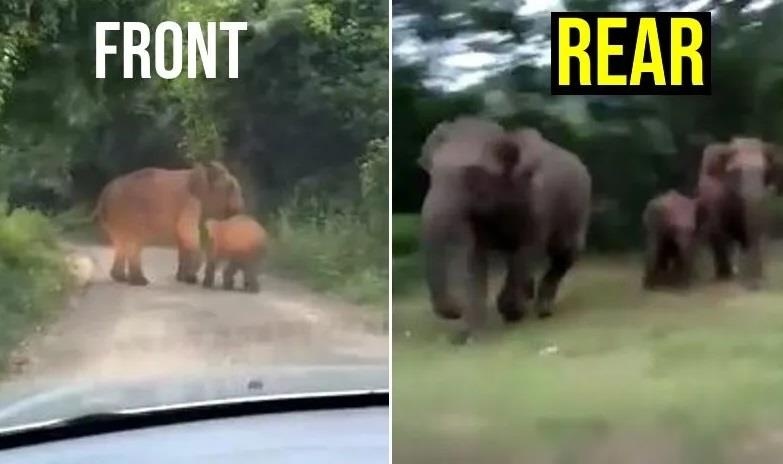 Tai xe oto so chet khiep vi bi dan voi quay kin hinh anh