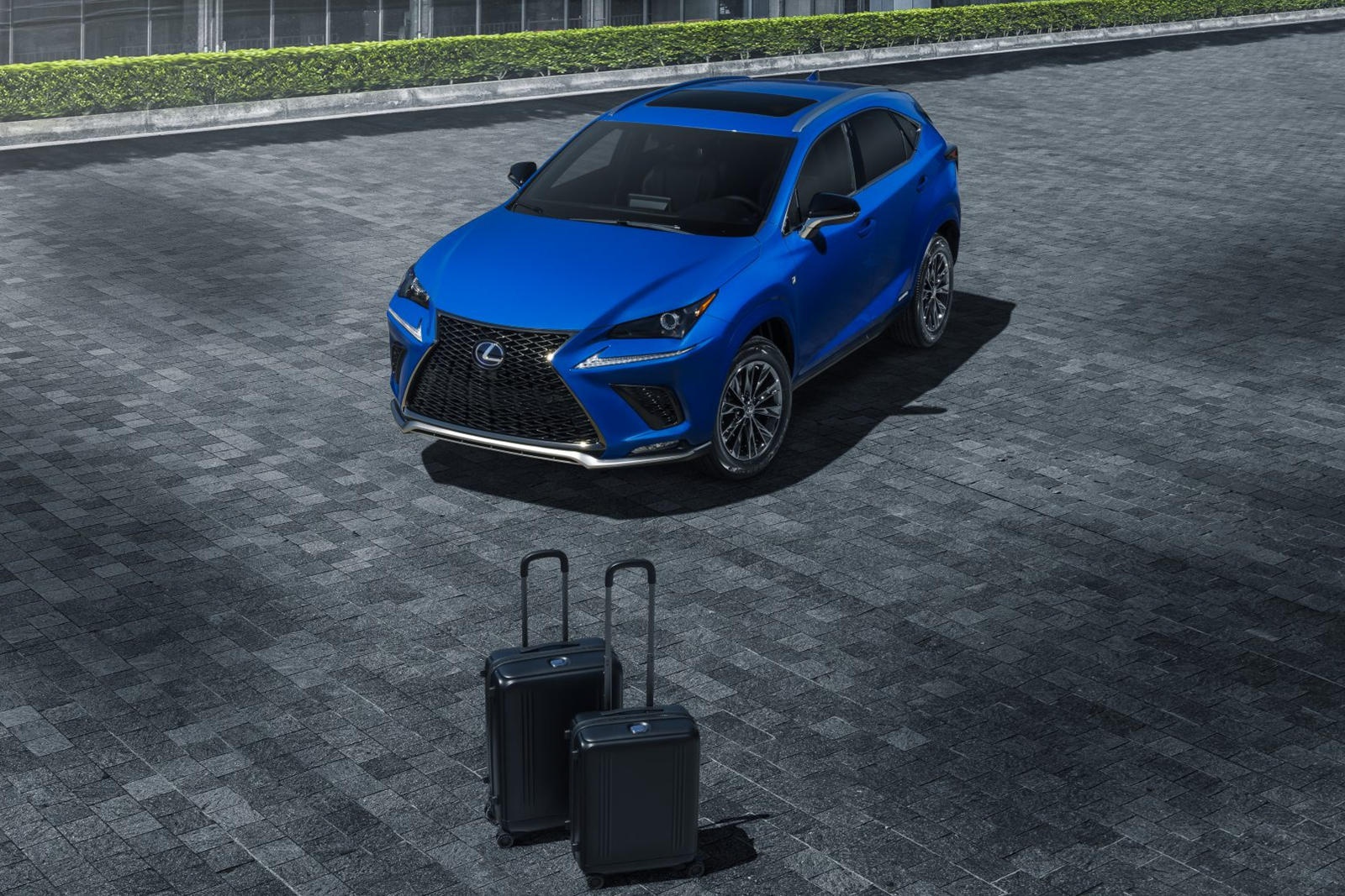 Lexus NX Hybrid 2021 ra phiên bản đặc biệt ảnh 4 Lexus NX Hybrid 2021 ra phien ban dac biet anh 4