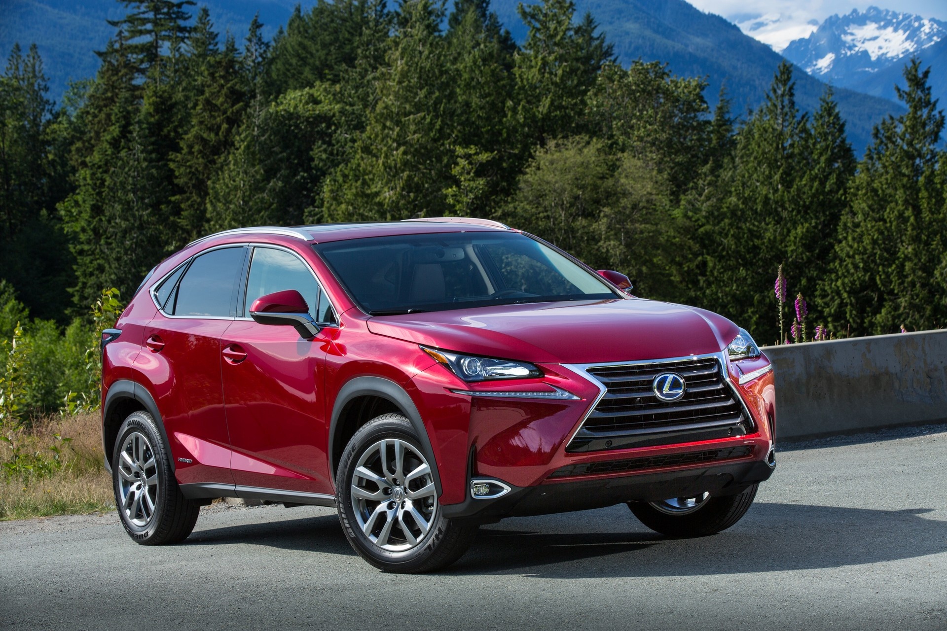 Lexus NX 2021 nâng cấp nhỏ,  động cơ không đổi  ảnh 6 Lexus NX 2021 nang cap nho,  dong co khong doi anh 6