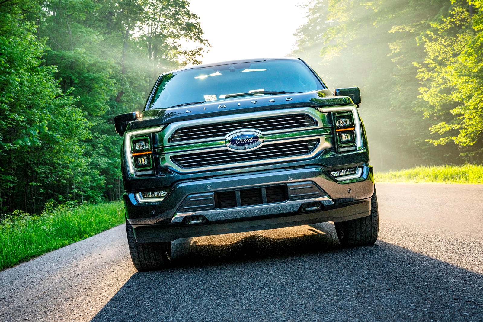 Ford F-150 2021 se khong tang gia so voi the he hien tai? hinh anh