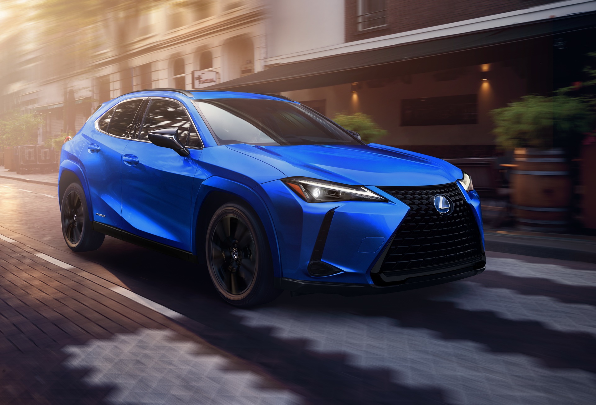 Lexus UX 2021 co them phien ban gioi han anh 1