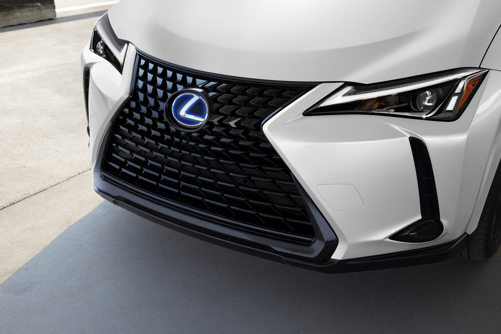 Lexus UX 2021 co them phien ban gioi han anh 2