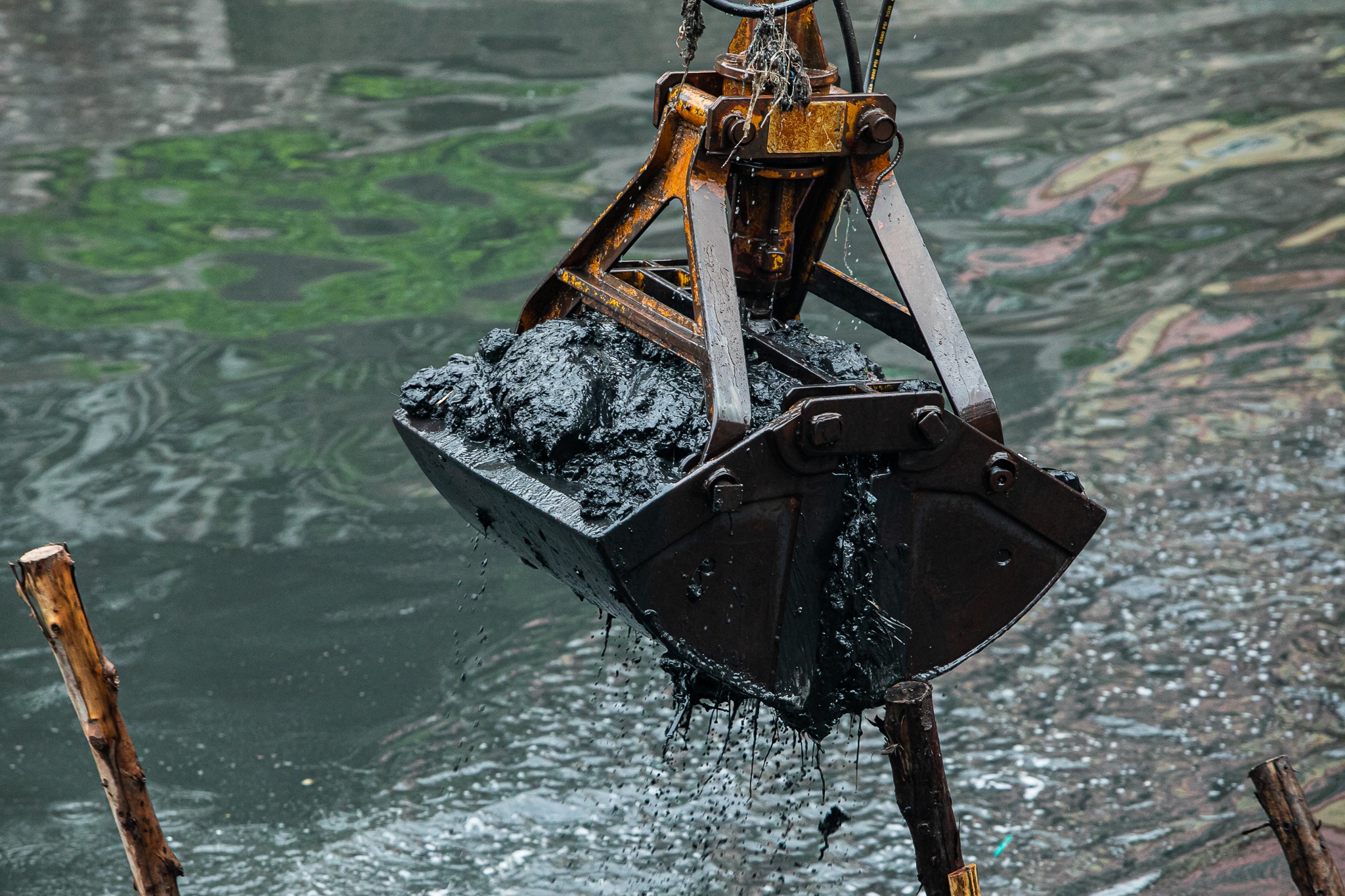 ve sinh song to lich anh 12