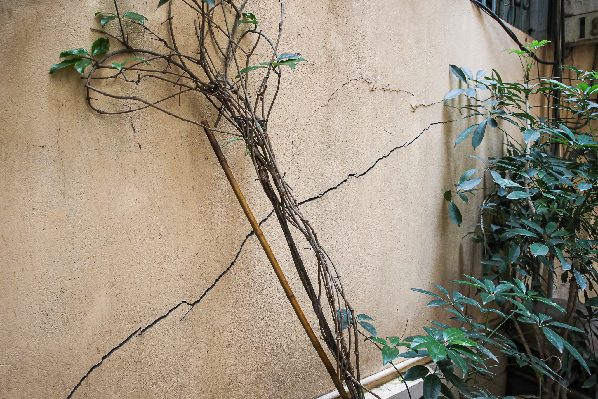 Can canh nhieu vet nut o nha dan sau su co dao ngam metro hinh anh