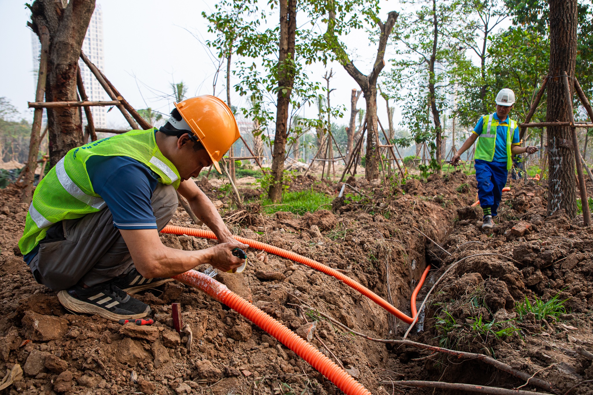 Ha Noi o at pha rao, sua cong vien hinh anh