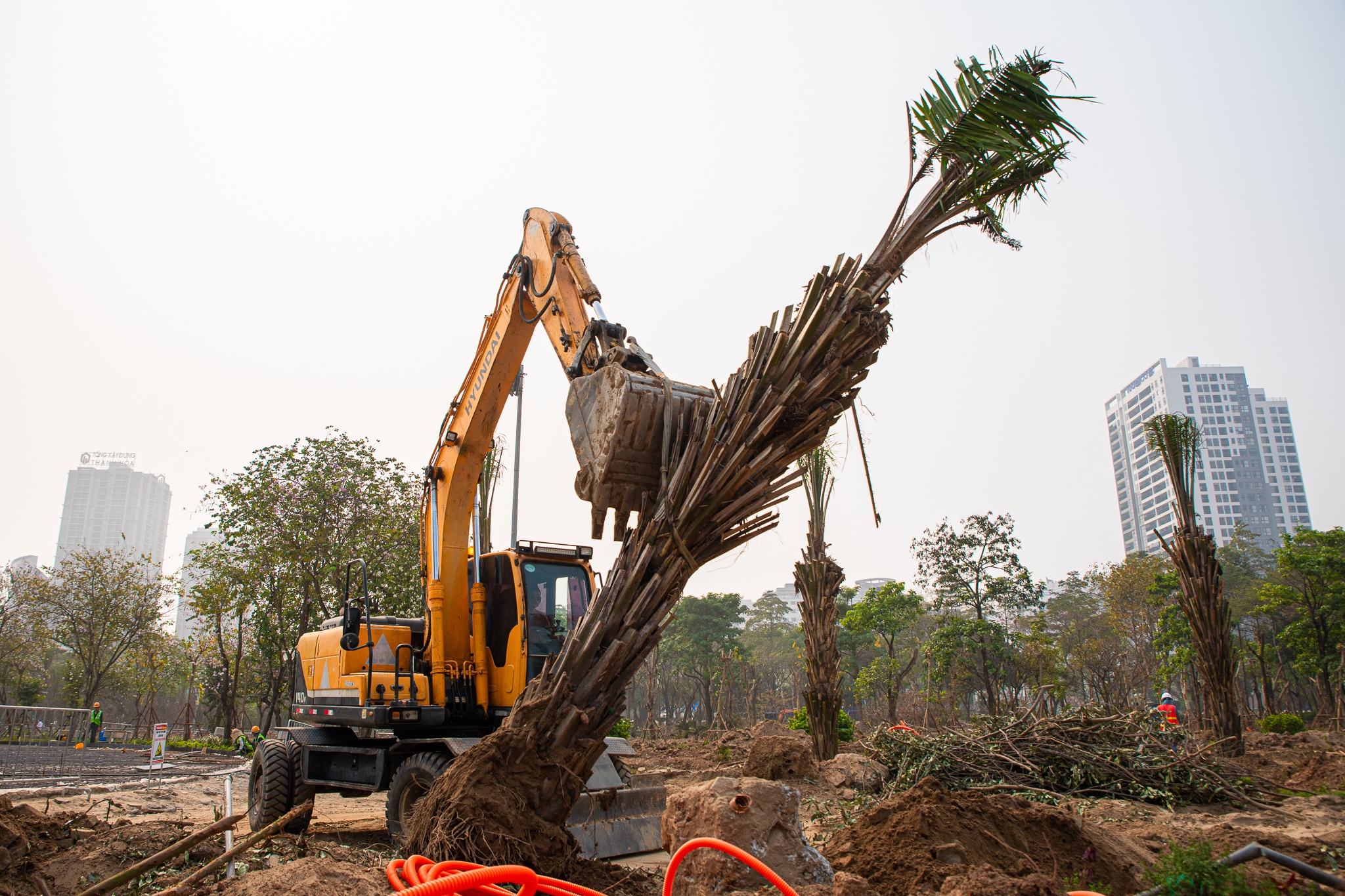 cac cong vien ha rao anh 12